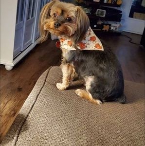 Meet your Posher, Debbie